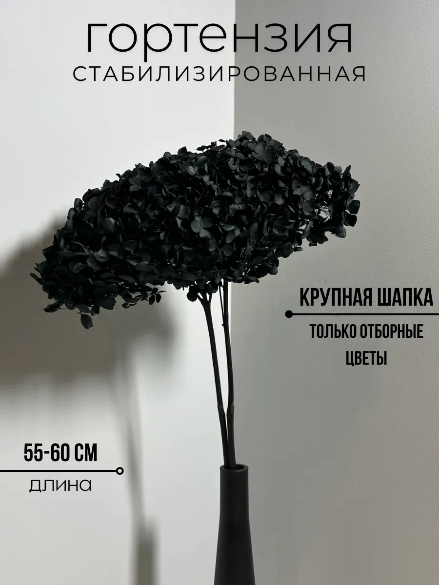 Гортензия...