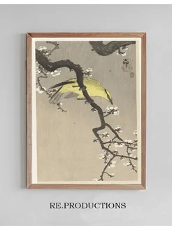 Постер Chinese golden oriole on plum blossom - Ohara Koson