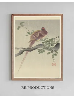 Постер Copper pheasant - Ohara Koson