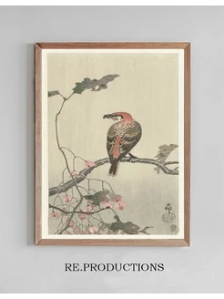 Постер Crossbill on tree branch - Ohara Koson