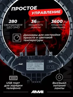 Эффектная LED кольцевая лампа для контента