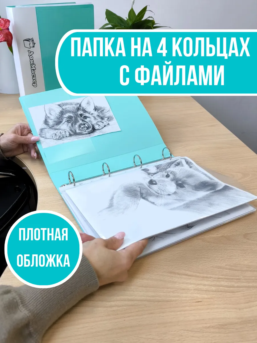 Папка на 4-х кольцах с...