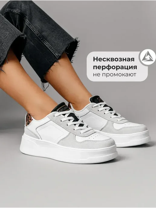 X-Plode 273611289
