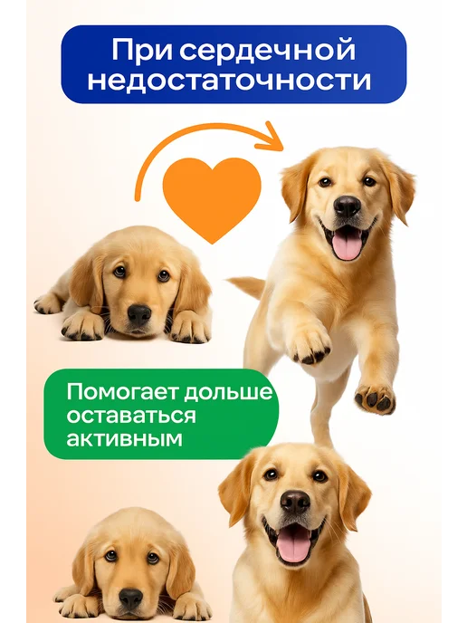 Boehringer Ingelheim Ветмедин 1,25 мг для собак, 50 таблеток, 1 25, фото 2