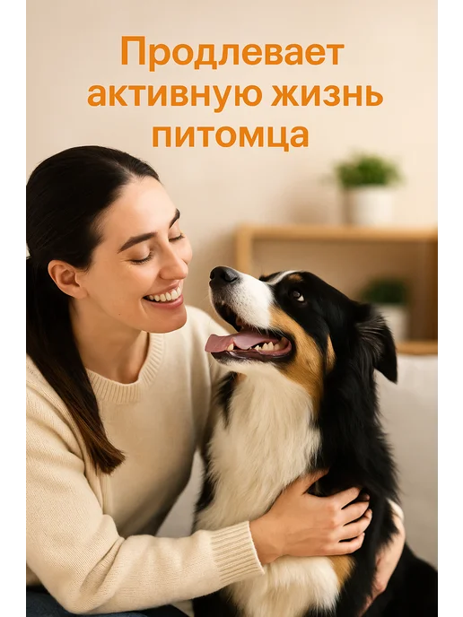 Boehringer Ingelheim Ветмедин 1,25 мг для собак, 50 таблеток, 1 25, фото 3