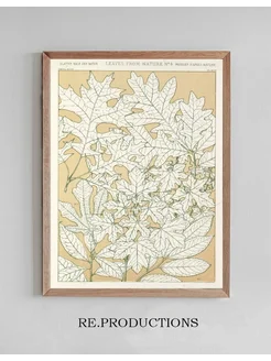 Постер Leaves from Nature No.4 - Owen Jones