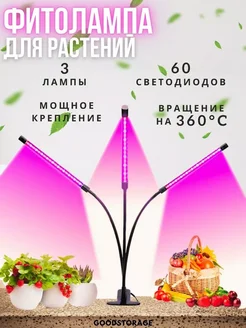 Фитолампа для растений