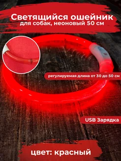 Светящийся ошейник для собак с usb зарядкой, длина 50 см Букан 273706205 купить за 456 ₽ в интернет-магазине Wildberries