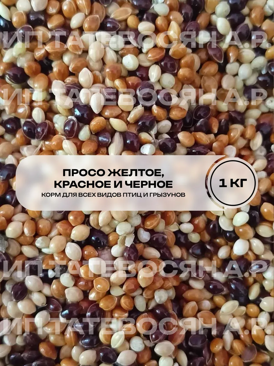 Смесь просо красное, чёрное, жёлтое для птиц и грызунов, 1кг