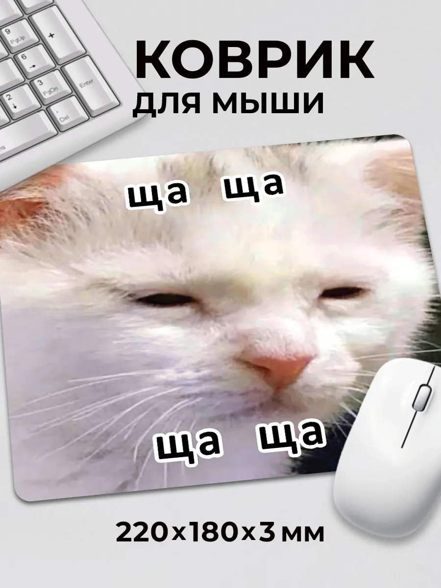 Песня где ща ща ща. Песня где ща ща ща