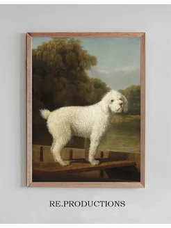 Постер White Poodle in a Punt - George Stubbs