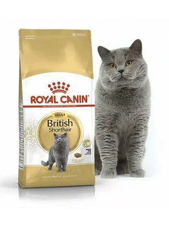 British Shorthair Adult для кошек 4 кг британская