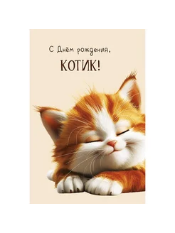 Открытка, С Днем Рождения, Котик!, 12,1*18,3 см, 1 шт