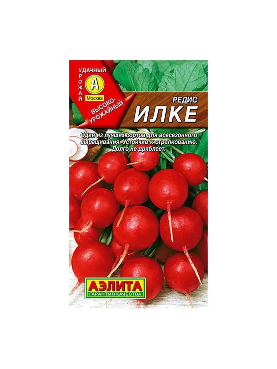 Купить Семена Свеклы Рафинад