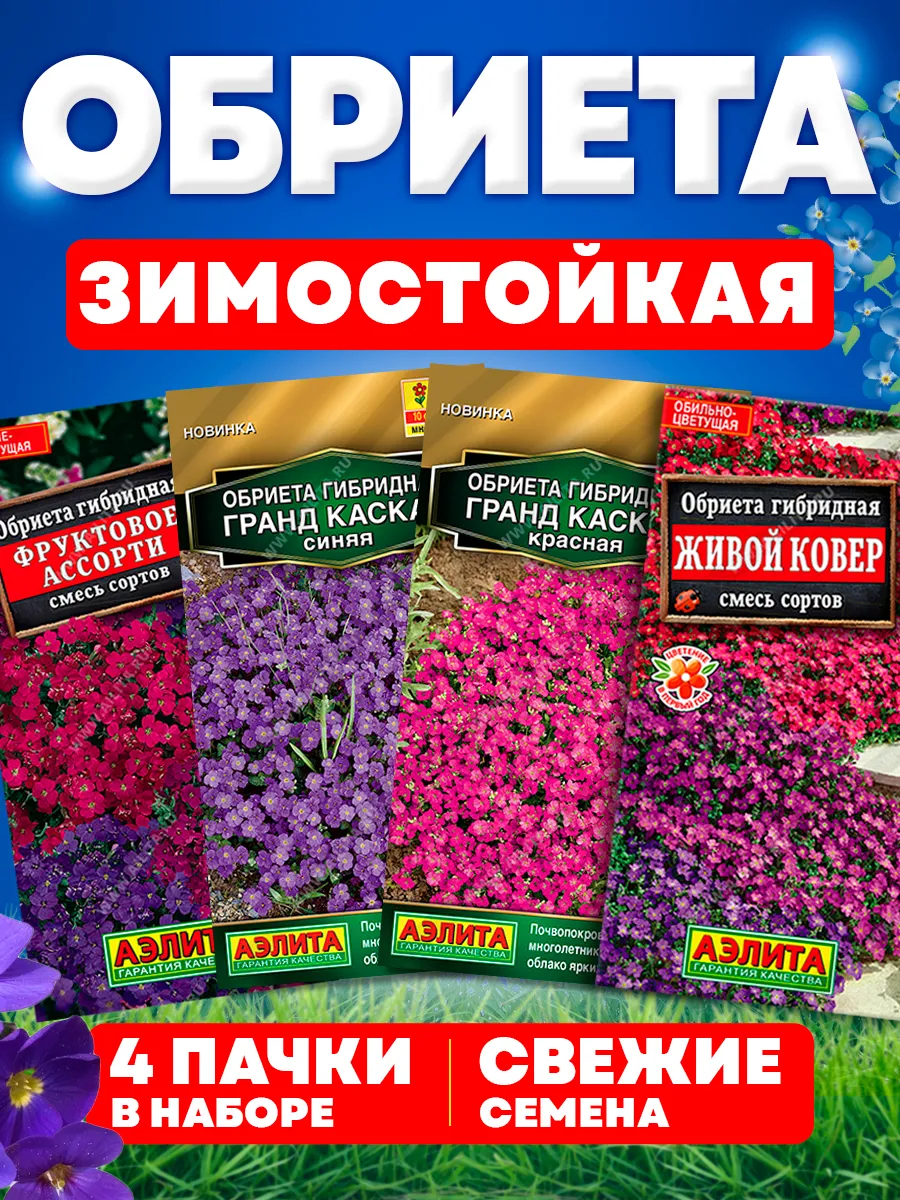 Семена цветов Обриеты...