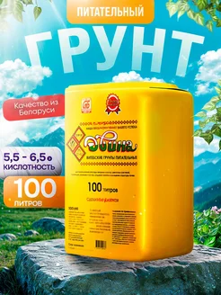 Грунт универсальный питательный 100 л Двина 273905986 купить за 1 088 ₽ в интернет-магазине Wildberries