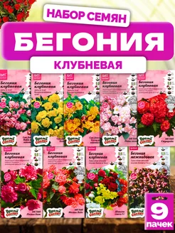 Бегония клубневая