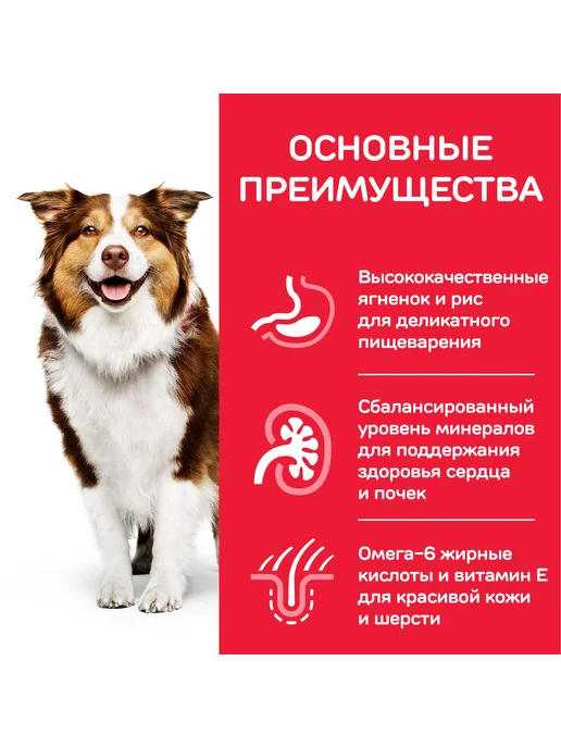 Сухой корм HILL'S Старше для собак, пожилые, 2,5 кг, фото 2