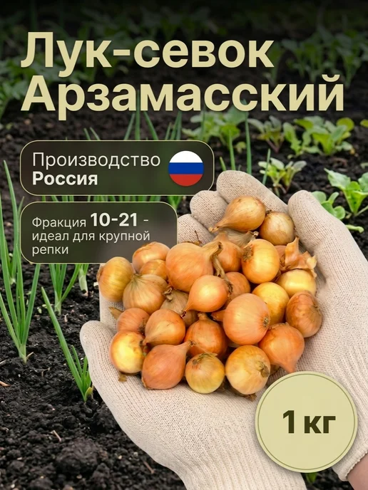 Лук севок красный Ялтинский 0,5 кг на посадку осенью, 1 кг