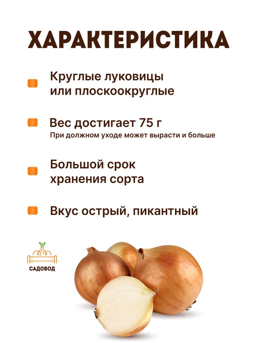 Лук севок красный Ялтинский 0,5 кг на посадку осенью, 1 кг, фото 3