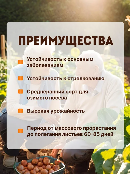 Лук севок красный Ялтинский 0,5 кг на посадку осенью, 1 кг, фото 4
