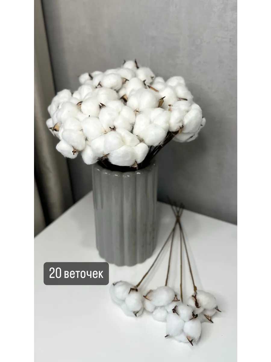 Сухоцветы...