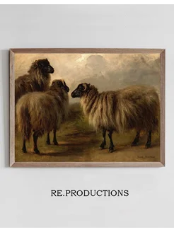 Постер Three Wooly Sheep - Rosa Bonheur