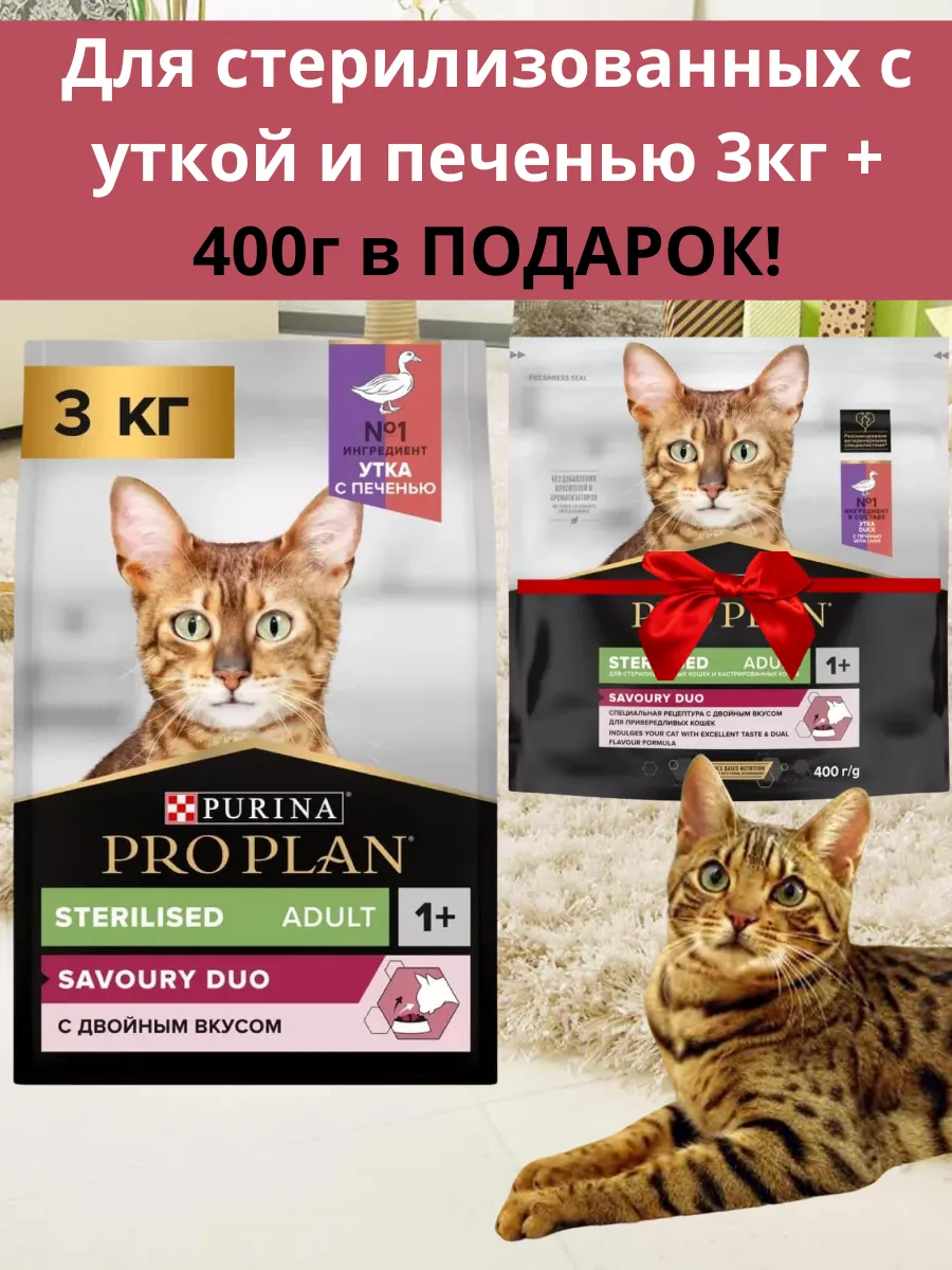 Сухой Корм для...