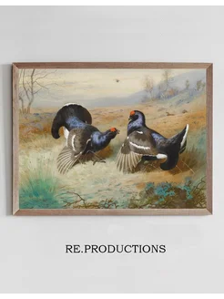 Постер Blackcocks At The Lek - Archibald Thorburn