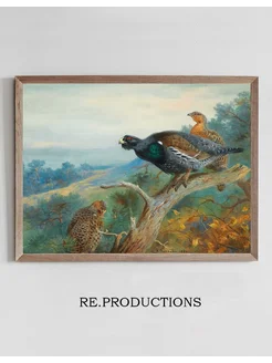 Постер Capercaillie - Archibald Thorburn