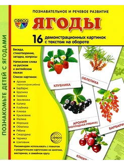 Демонстрационные картинки СУПЕР. Ягоды 16 штук