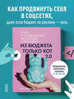 Из бюджета только кот 2.0