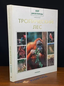 Тропический лес