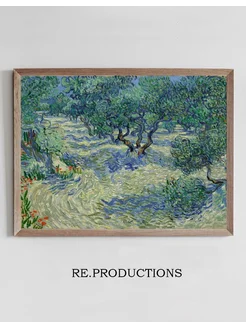 Постер Olive Orchard - Vincent van Gogh