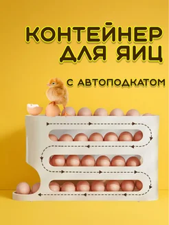 Подставка контейнер для хранения яиц с автоподкатом Epi House 274580395 купить за 524 ₽ в интернет-магазине Wildberries