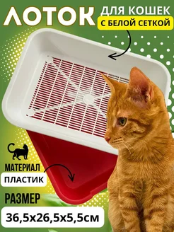 Лоток для котят