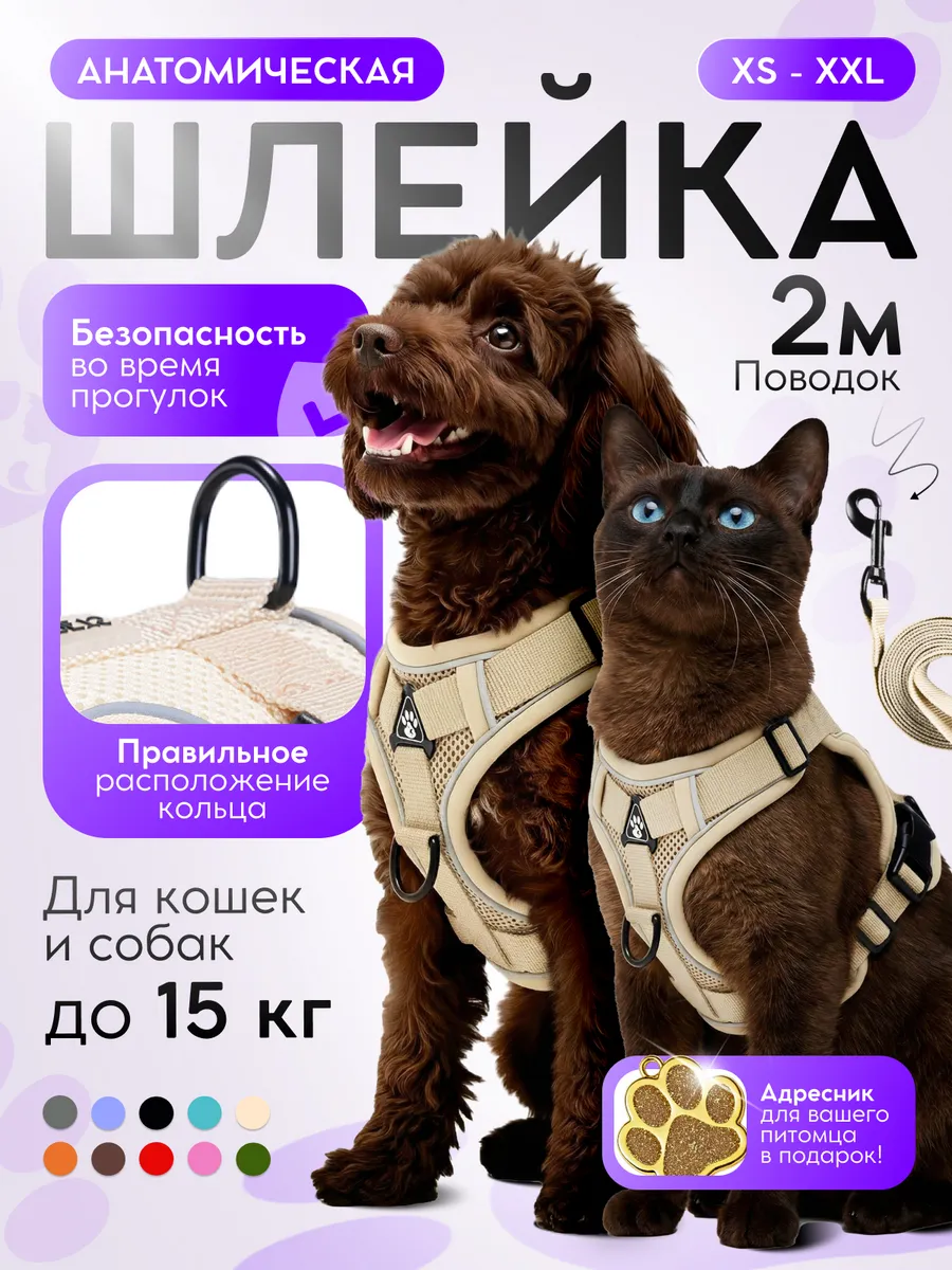 Шлейка для собак мелких средних пород и кошек с поводком