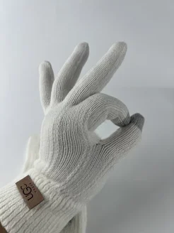 Перчатки сенсорные зимние универсальный размер EverHarmony Gloves 274927346 купить за 243 ₽ в интернет-магазине Wildberries