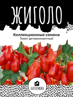 Томат Жиголо GUSSEMIKA 274949407 купить за 175 ₽ в интернет-магазине Wildberries