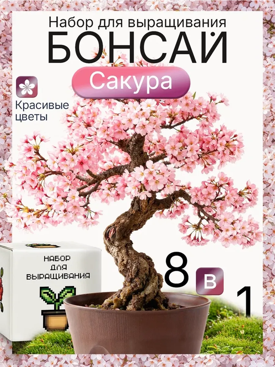 Набор для выращивания растений Бонсай Сакура