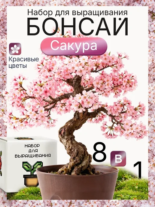 Про Растения Фиалковое дерево Набор для выращивания растений Жакаранда, вариант
