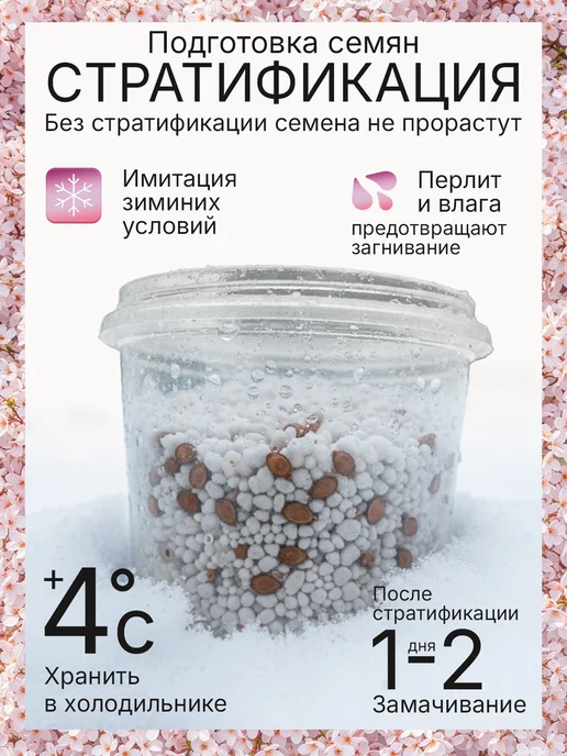 Про Растения Фиалковое дерево Набор для выращивания растений Жакаранда, вариант, фото 8
