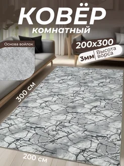 Ковер комнатный 200х300 в коридор