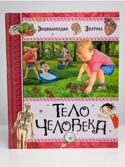 Тело человека