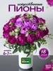 Искусственные для декора, на кладбище, пионы ИСКУССТВЕННЫЕ ЦВЕТЫ DECOR 275305233 купить за 456 ₽ в интернет‑магазине Wildberries
