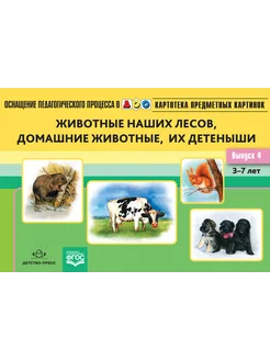 Картотека предметных картинок. Выпуск 4