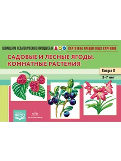 Картотека предметных картинок. Выпуск 6