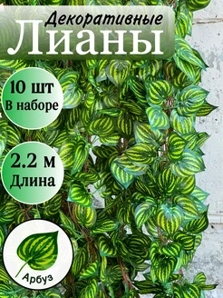 Декоративная искусственная лиана для интерьера 10 штук green sad 276166047 купить за 606 ₽ в интернет-магазине Wildberries