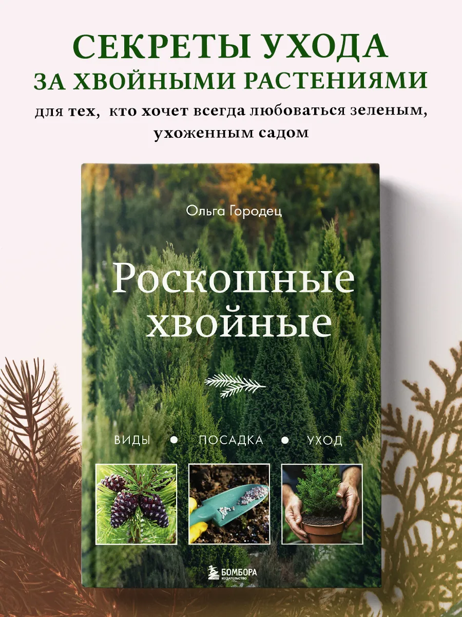 Роскошные хвойные. Виды, посадка, уход