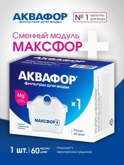 Фильтр для воды Макстра МАКСФОР